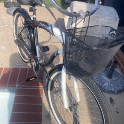 $100 Firm 2 Beach Cruisers