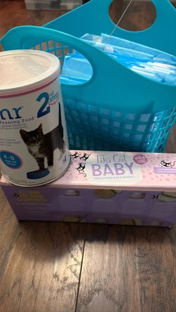 Kitten items