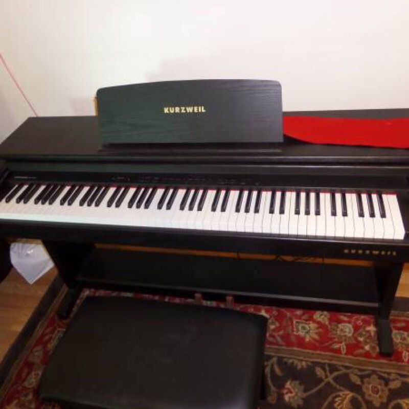 Kurzweil RG 200 SE