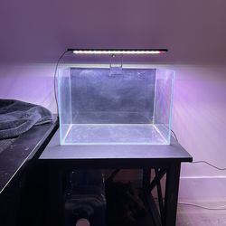 10 Gallon Fish Tank