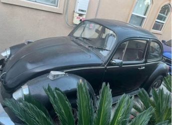 volkswagon beetle