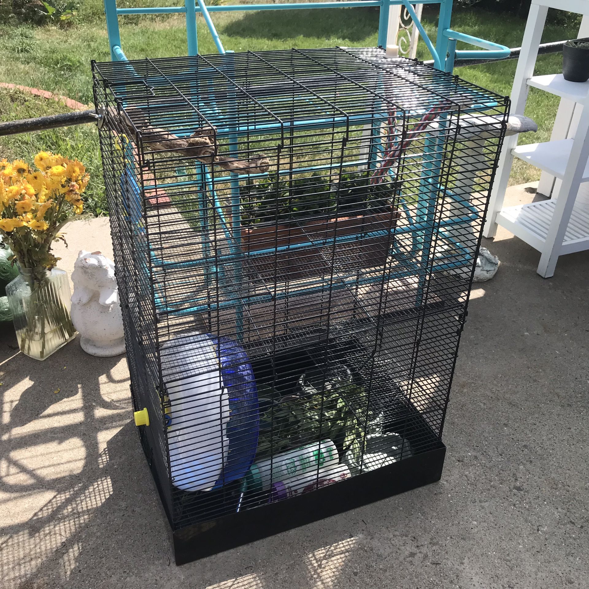 Flying Squirrel, Ferret/Critter Cage, complete setup