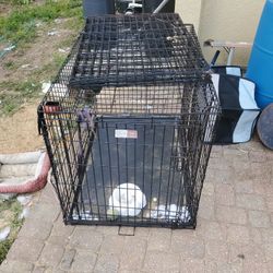 Big Dogs  Cages  