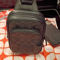 Coach Track Pack 14' Signature Canvas Adult