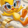 Nicol