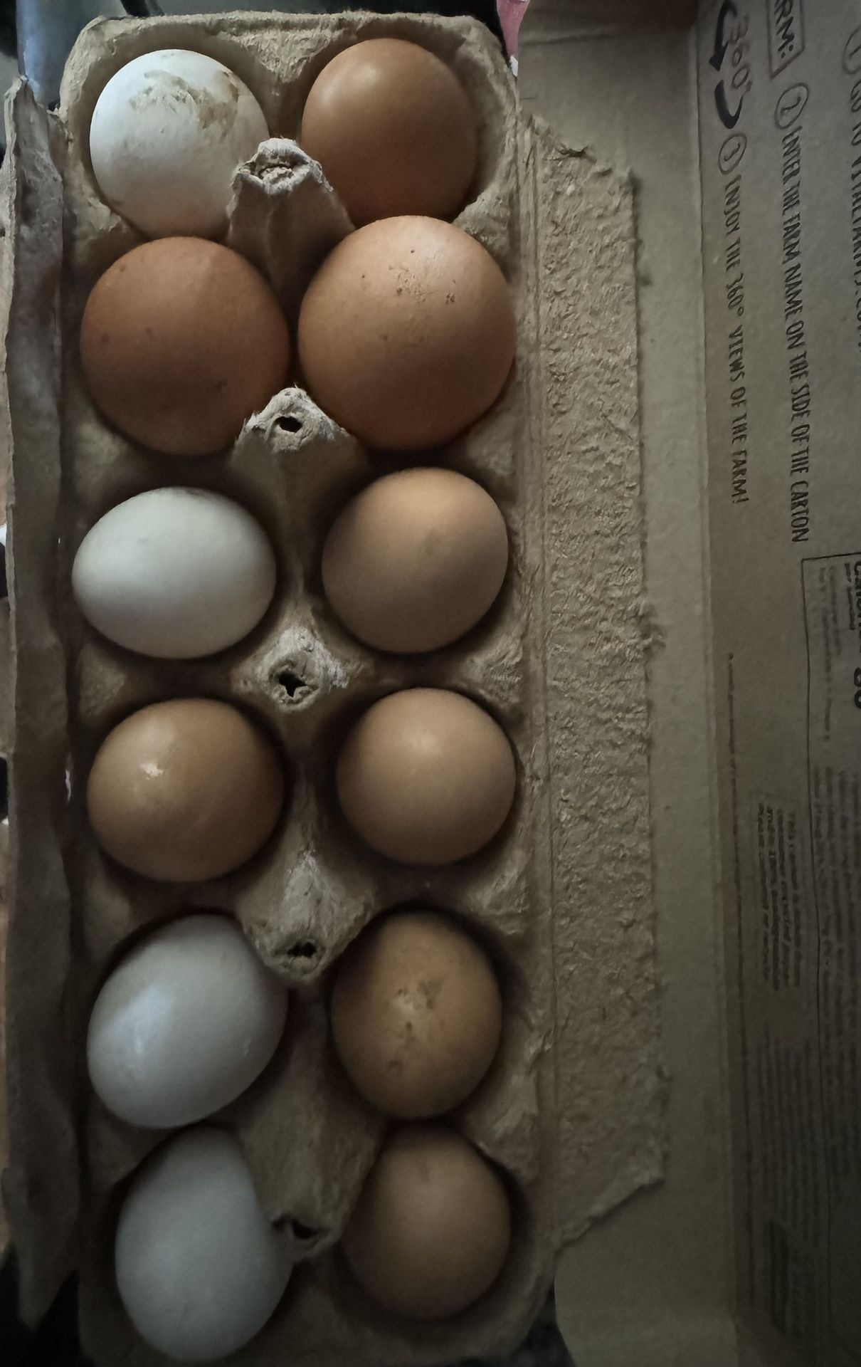 Organic Eggs