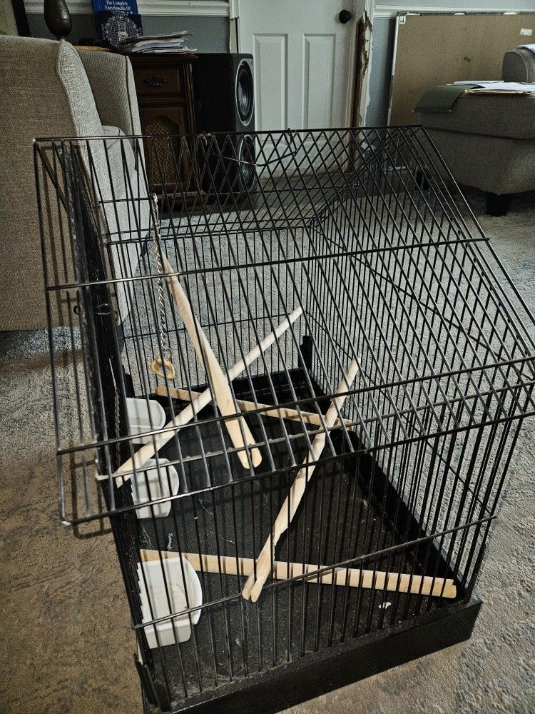 Bird Cage