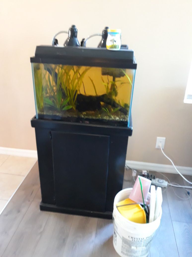 Complete 20 gallon planted aquarium with extras