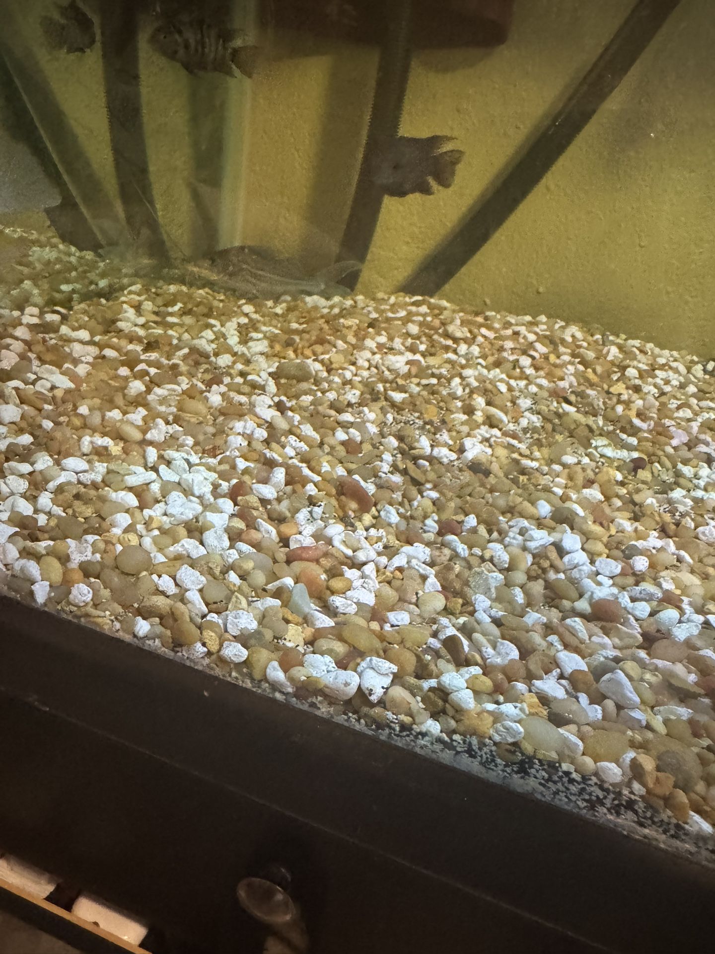 180 Pounds Worth Of Fish Tank Gravel