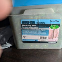 Roofing Plastic Cap Nails 