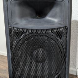 Louie Harbinger APS15 powered Speaker