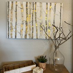 Beautiful Birch Canvas & Decor