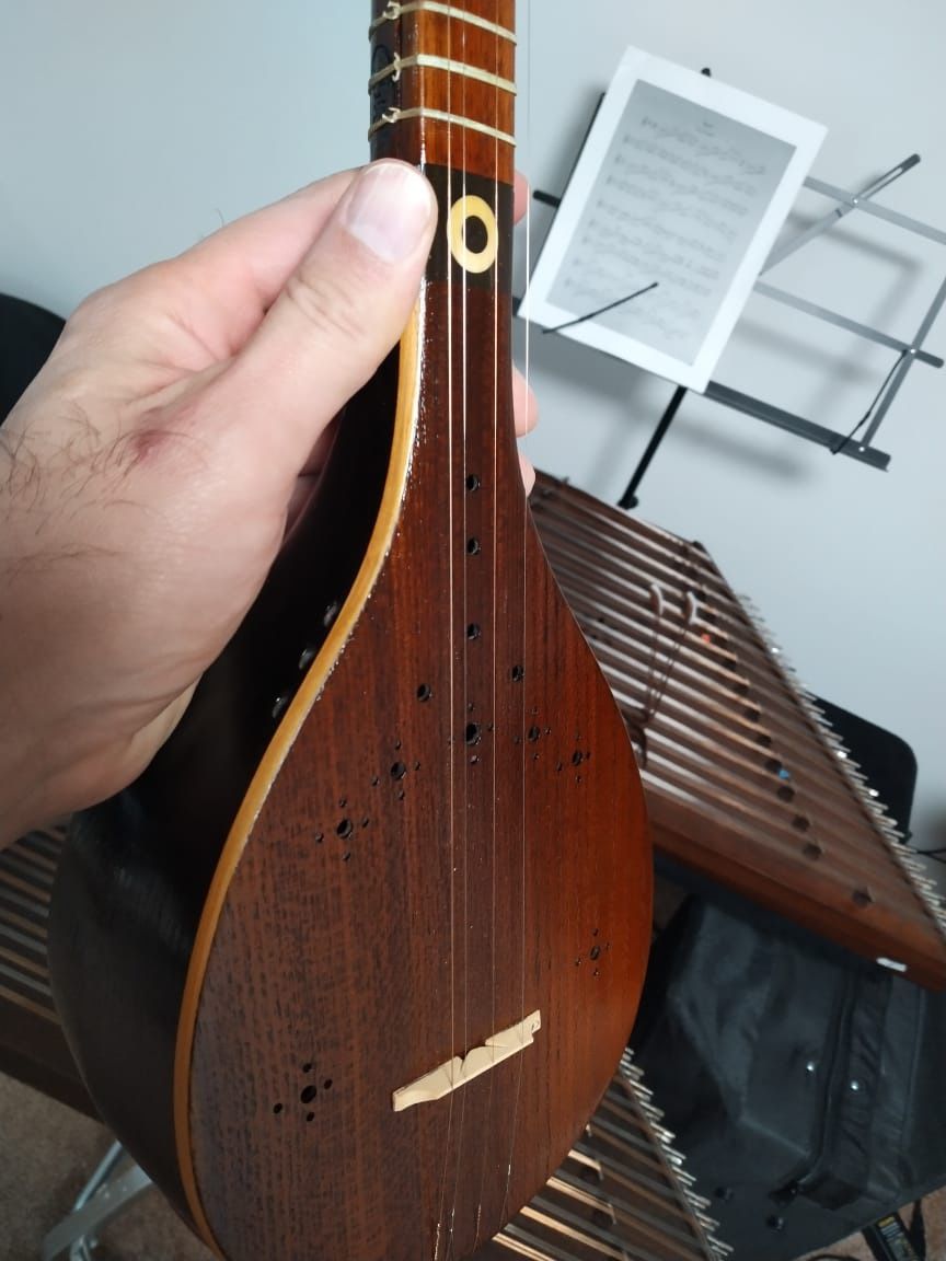 Persian Professional Setar