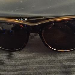 Ray-Ban Light Havana Polarized Sunglasses