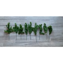 New Evergreen Branches
