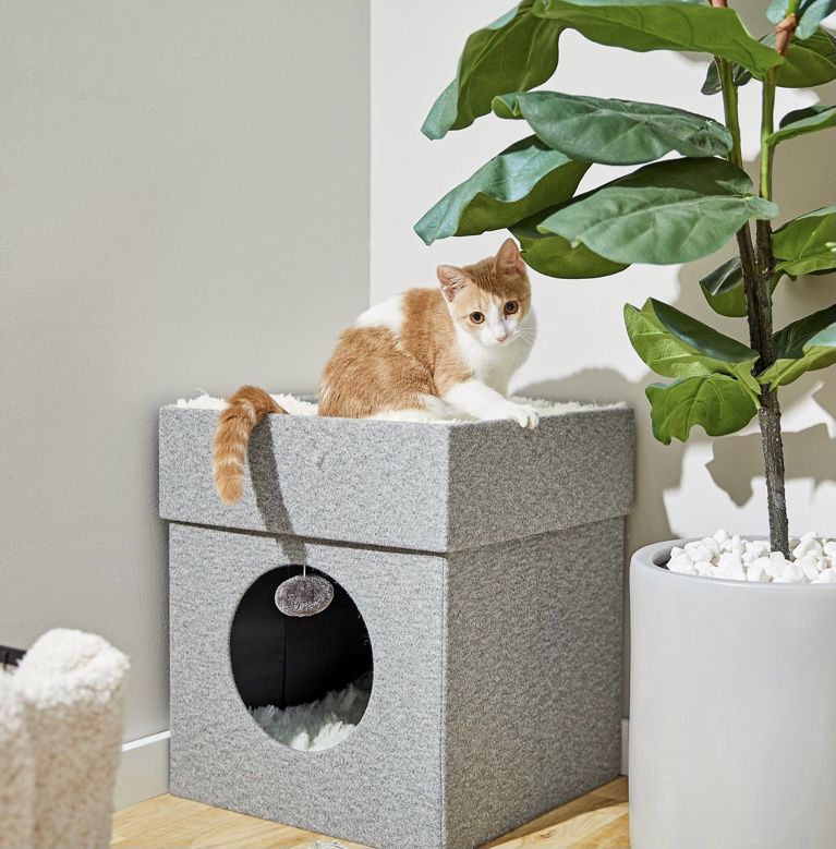 Frisco Single Cube Stackable and Collapsible Cat Condo Gray