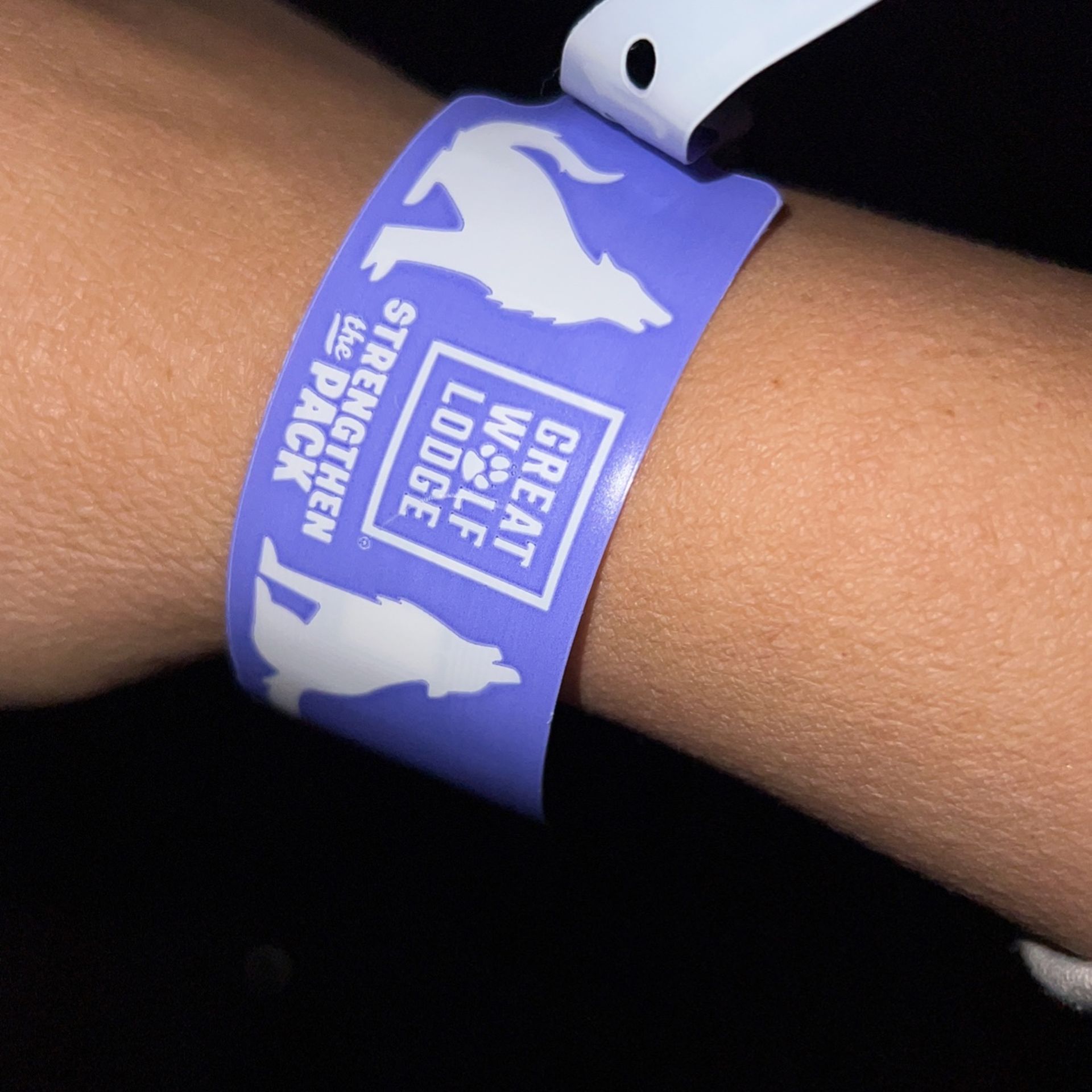 Great Wolfe Lodge Wrist Bands