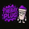 The Bay Plug