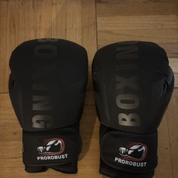 12oz Boxing Gloves 