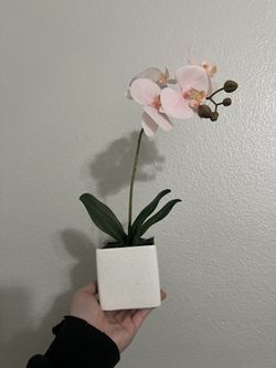 Faux Orchid Plant
