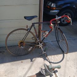 Bianchi Bike