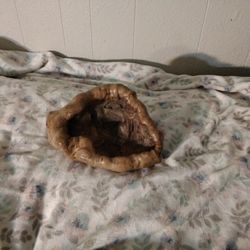 Antique Tree Root Bowl