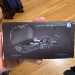 Bluetooth Earbuds 