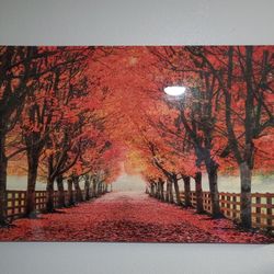 Sale This Pictures. Se Vende Este Cuadro