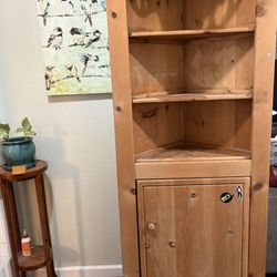 Corner Cabinet Shelf