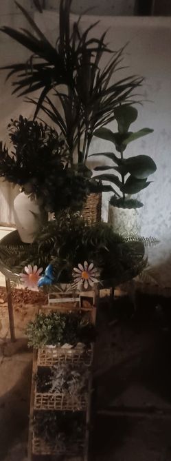 Plant arrangement with display racks