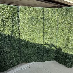 Event Green Wall