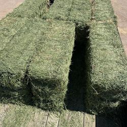 🌾 Top-Quality 110 lb Alfalfa Hay Bales Available!