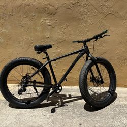  Fat Tire Bike (Northrock XC00)