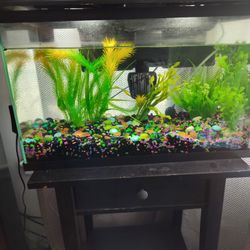 10 Gal Tank New