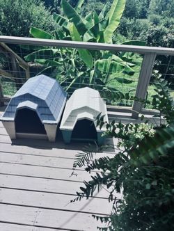 Dog Houses