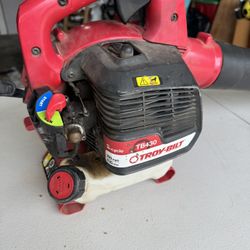 Gas Blower