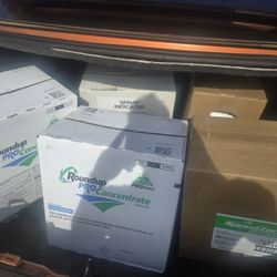 Speed Zone Y Roundup 