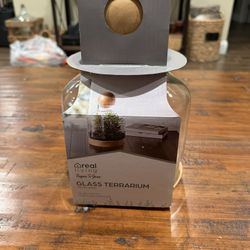 Glass Terrarium