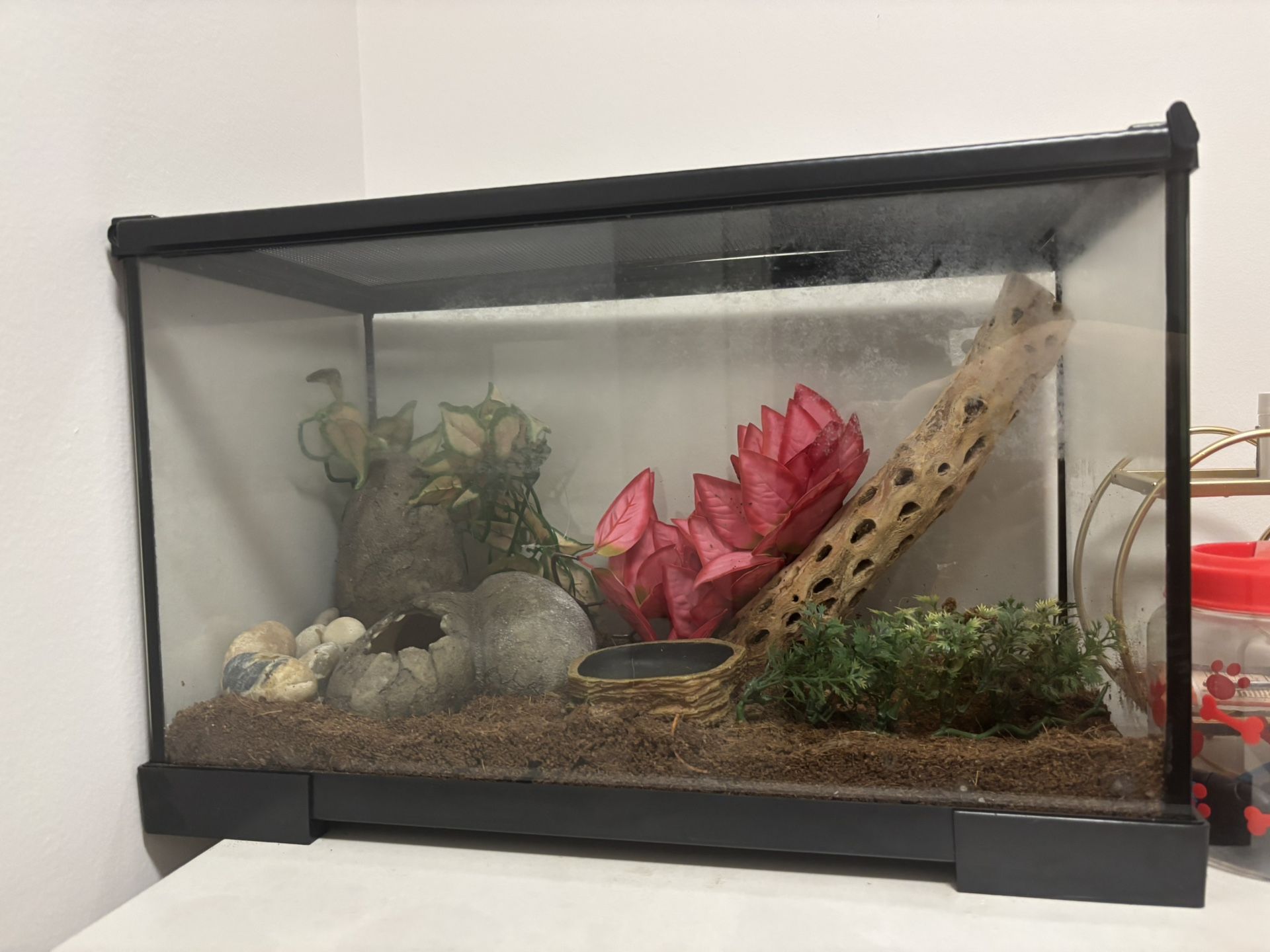 10 Gallon Tank With Lid