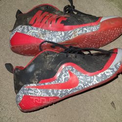 Nike Brand New Shoes