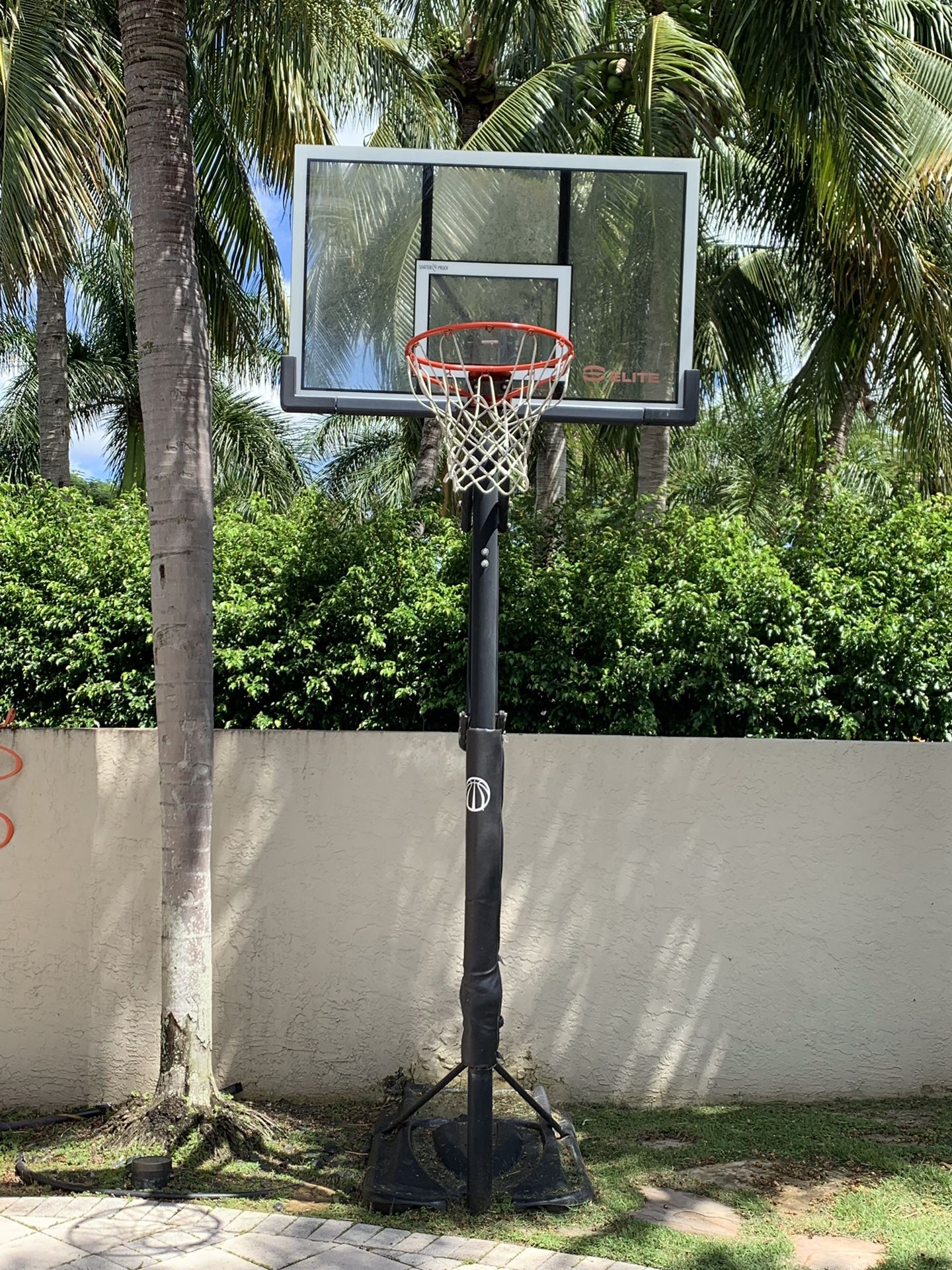Elite pro basketball hoop