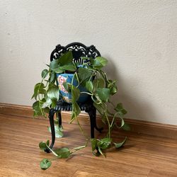 Wrought Iron Small Decorative Chair /Plant Stand (Plant Included) Heavy Weight 