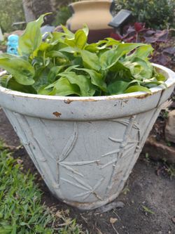Planter garden decor plants included PARA SU JARDIN