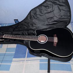 12 String Guitar