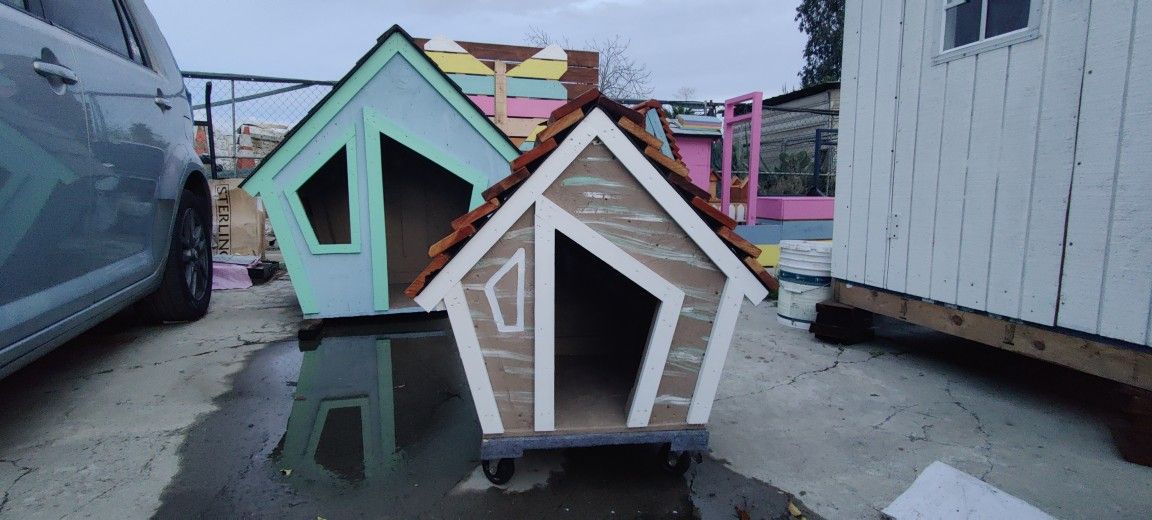 Cute Little House 🏡