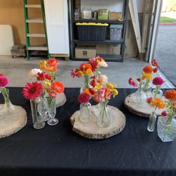 Bud Vases (75 Total)