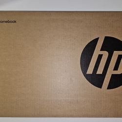 HP - 15.6" Chromebook Laptop - Intel Processor N200 - 8GB Memory - 64GB eMMC - Natural Silver