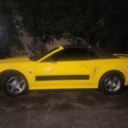 Mustang Convertible 