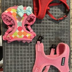 XxSmall Dog Harness 