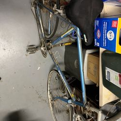 Vintage Schwinn  Traveler